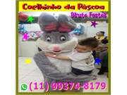 Coelhinho da Páscoa Guarulhos