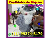 Coelhinho da Páscoa para Eventos Vila Rio Branco