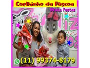Coelhinho da Páscoa para Eventos na Vila Gomes Cardim