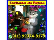 Coelho da Páscoa para Eventos no Parque Cruzeiro do Sul