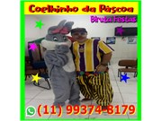 Coelhinho da Páscoa Guarulhos