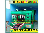 Brinquedo para Festas Jardim Munhoz